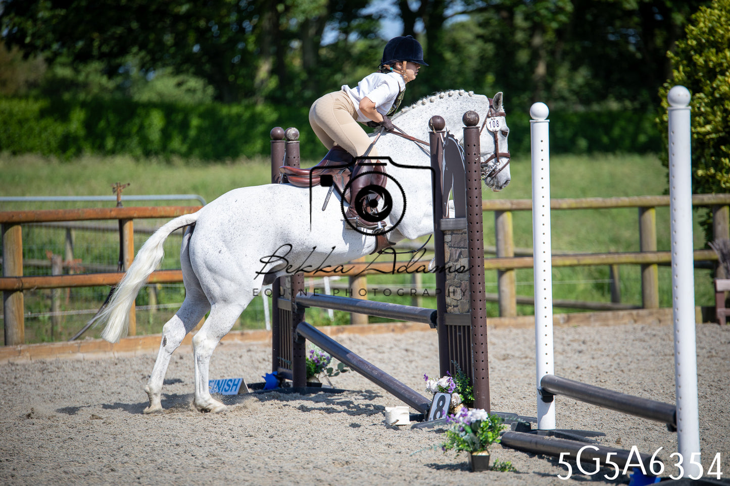 Home Farm Working Hunter 24th May 2026