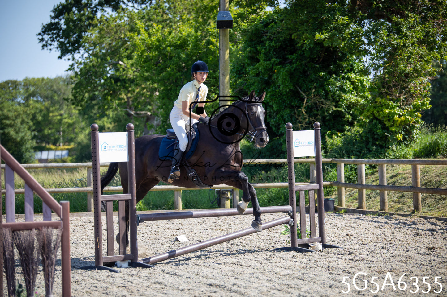 Home Farm Working Hunter 24th May 2026