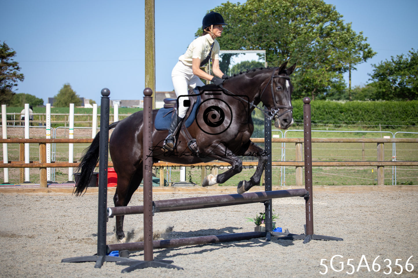 Home Farm Working Hunter 24th May 2026