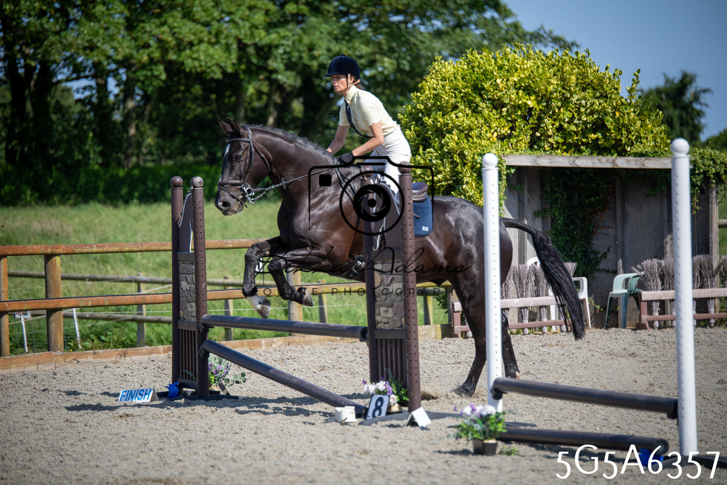 Home Farm Working Hunter 24th May 2026