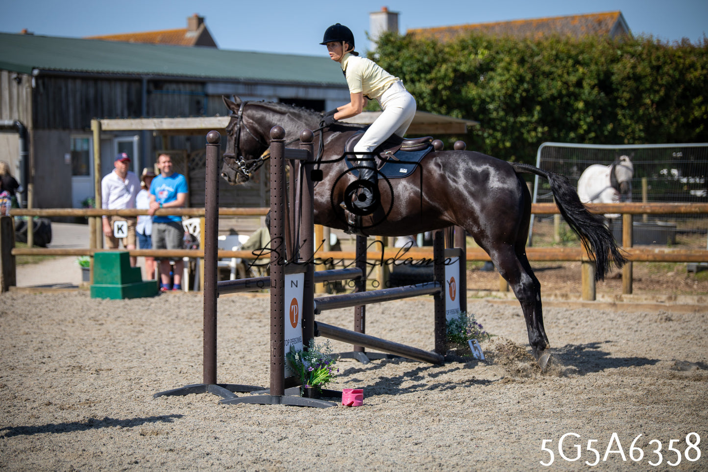 Home Farm Working Hunter 24th May 2026