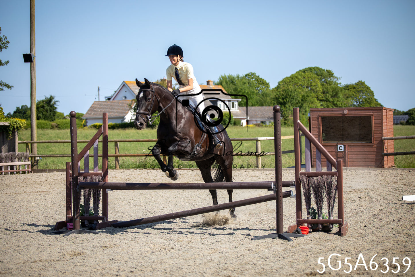 Home Farm Working Hunter 24th May 2026