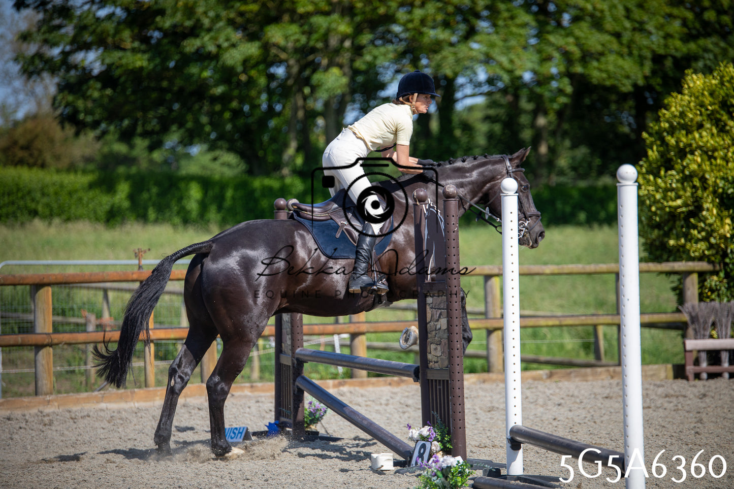 Home Farm Working Hunter 24th May 2026