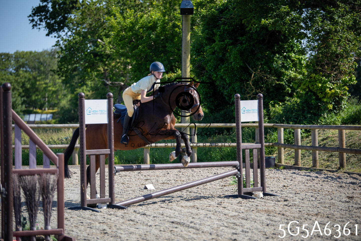 Home Farm Working Hunter 24th May 2026