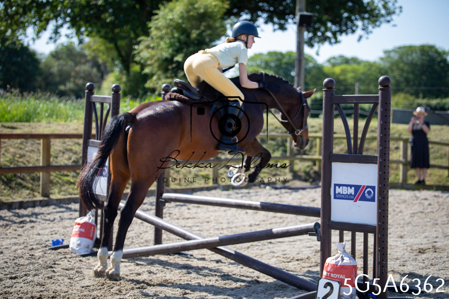 Home Farm Working Hunter 24th May 2026
