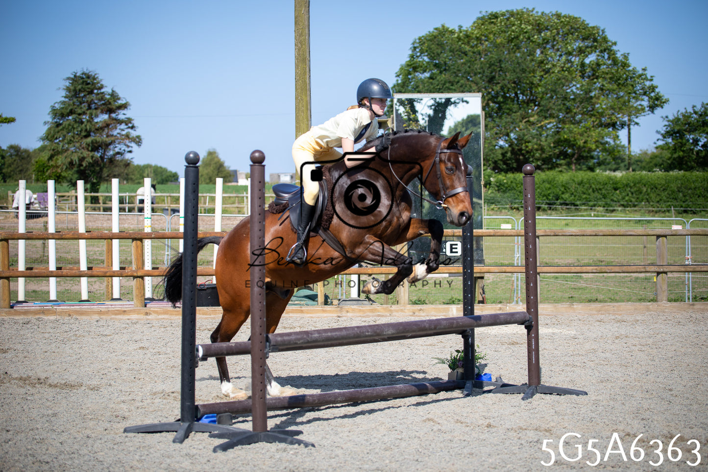 Home Farm Working Hunter 24th May 2026