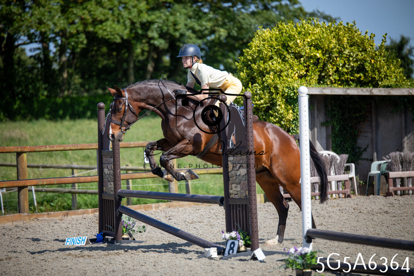 Home Farm Working Hunter 24th May 2026