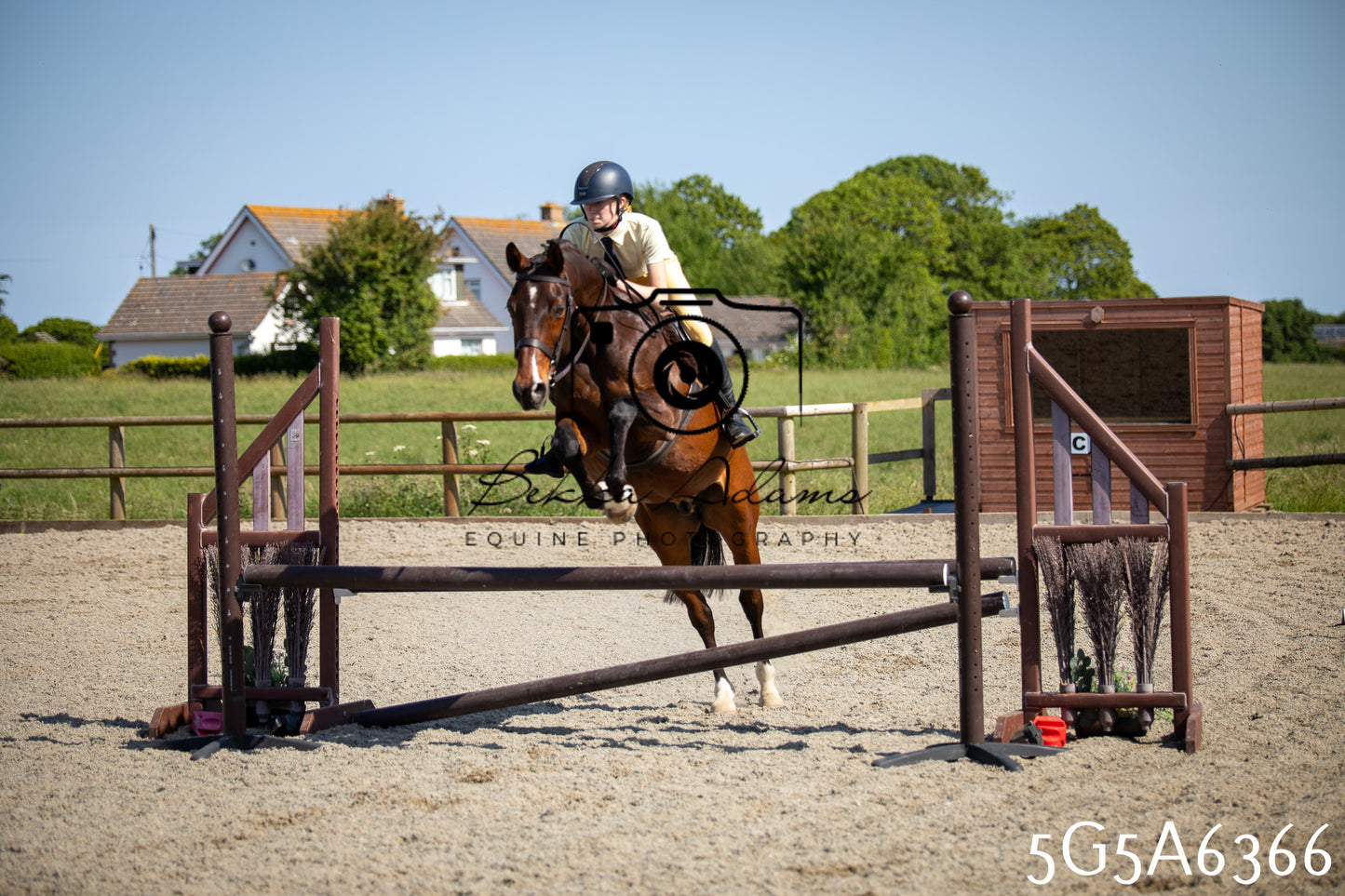 Home Farm Working Hunter 24th May 2026