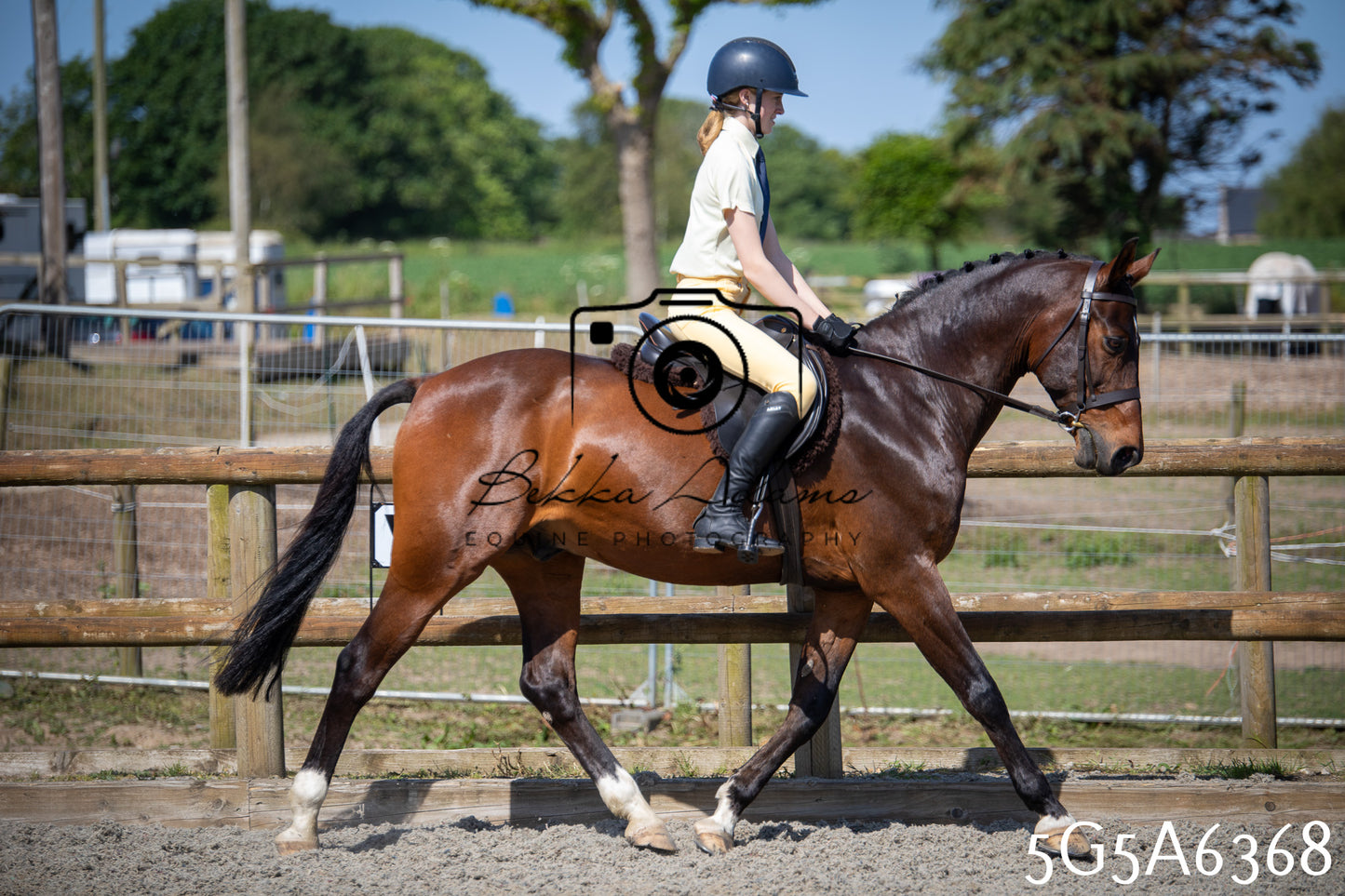 Home Farm Working Hunter 24th May 2026
