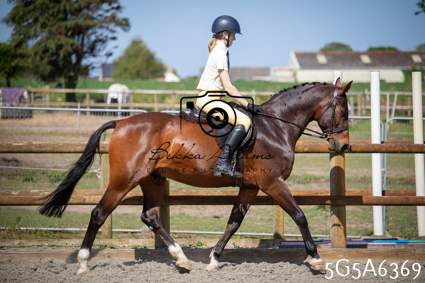 Home Farm Working Hunter 24th May 2026