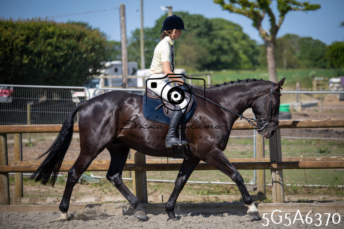 Home Farm Working Hunter 24th May 2026