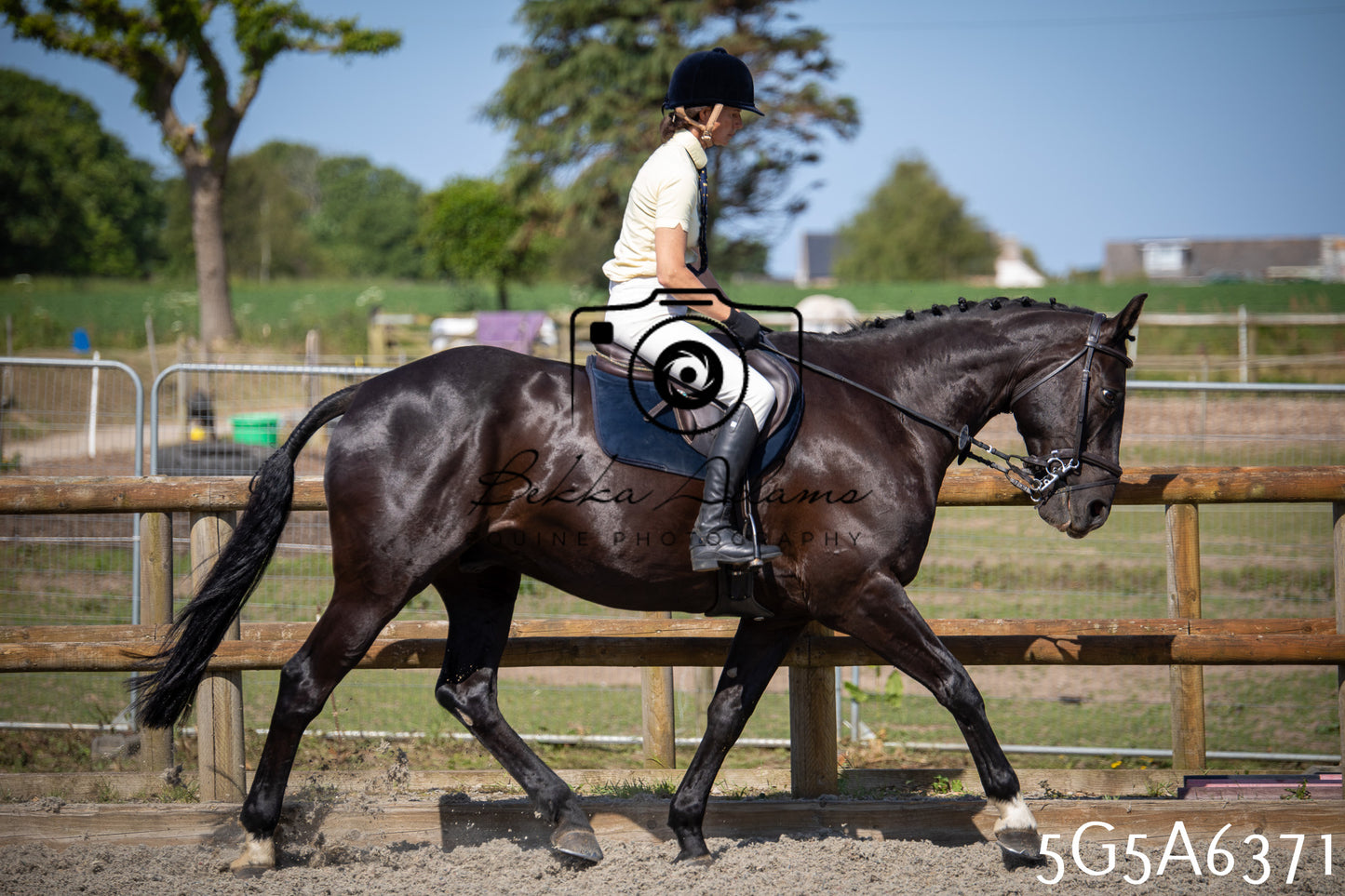 Home Farm Working Hunter 24th May 2026
