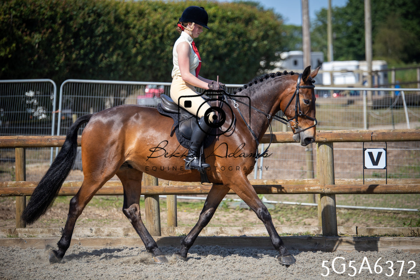 Home Farm Working Hunter 24th May 2026