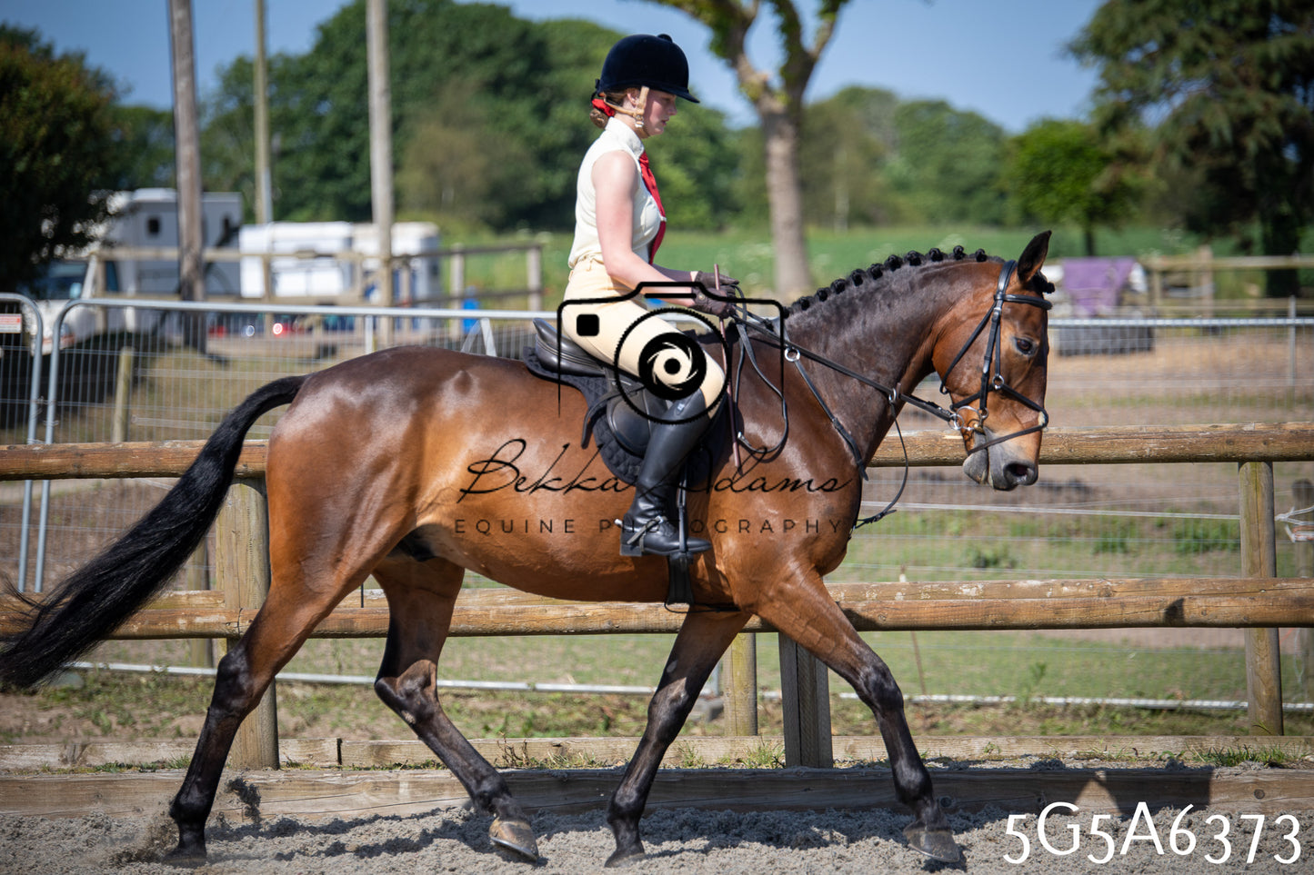Home Farm Working Hunter 24th May 2026