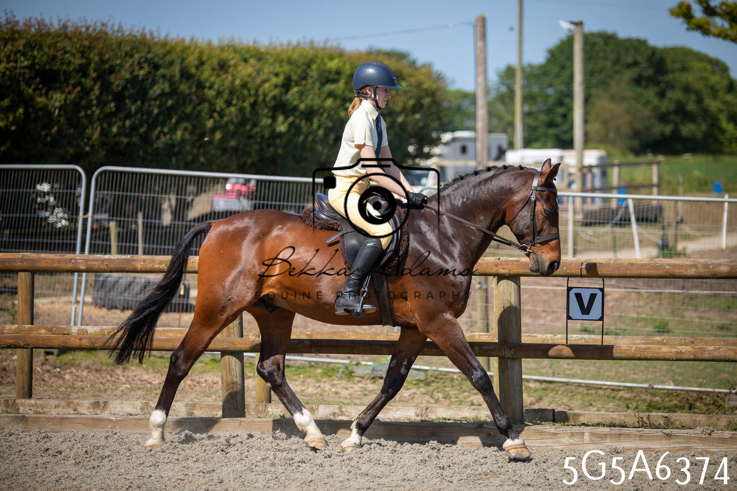 Home Farm Working Hunter 24th May 2026