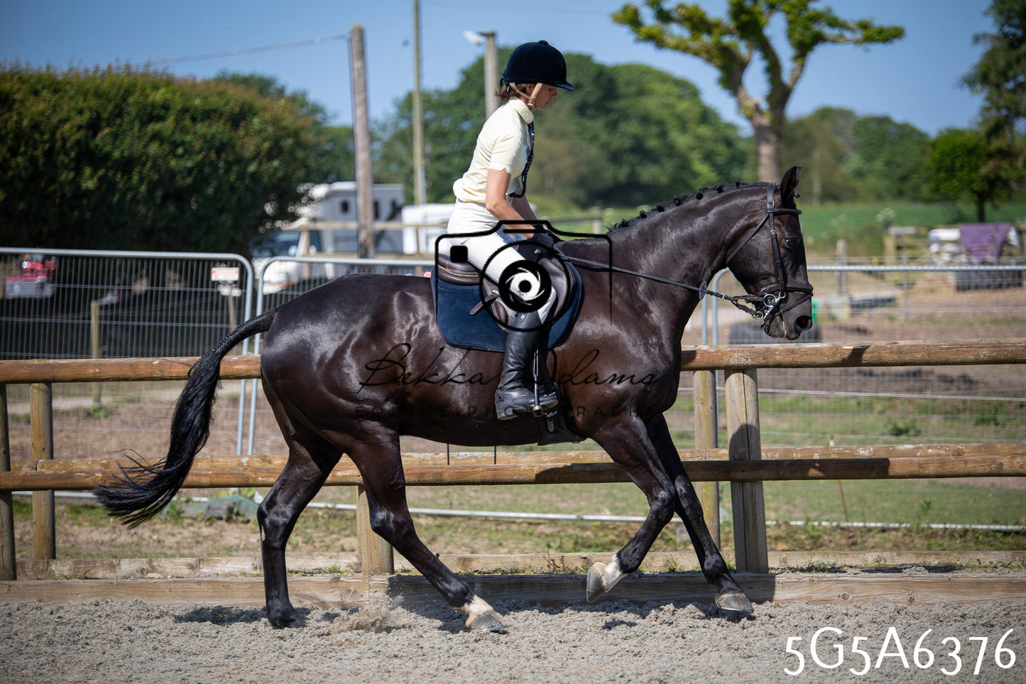 Home Farm Working Hunter 24th May 2026