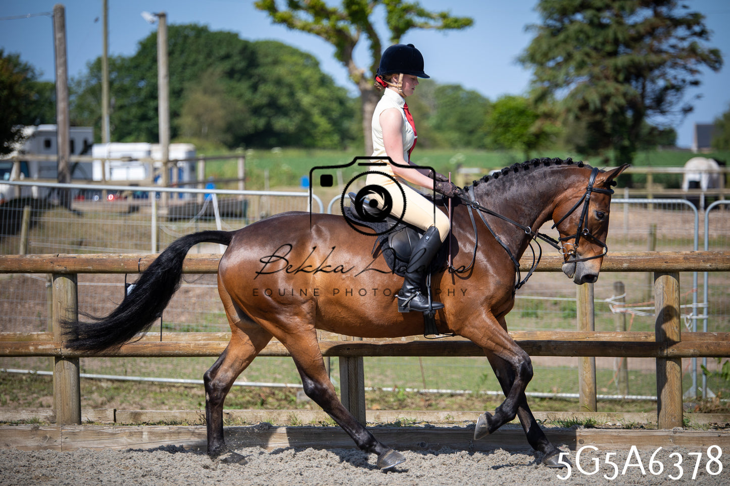 Home Farm Working Hunter 24th May 2026