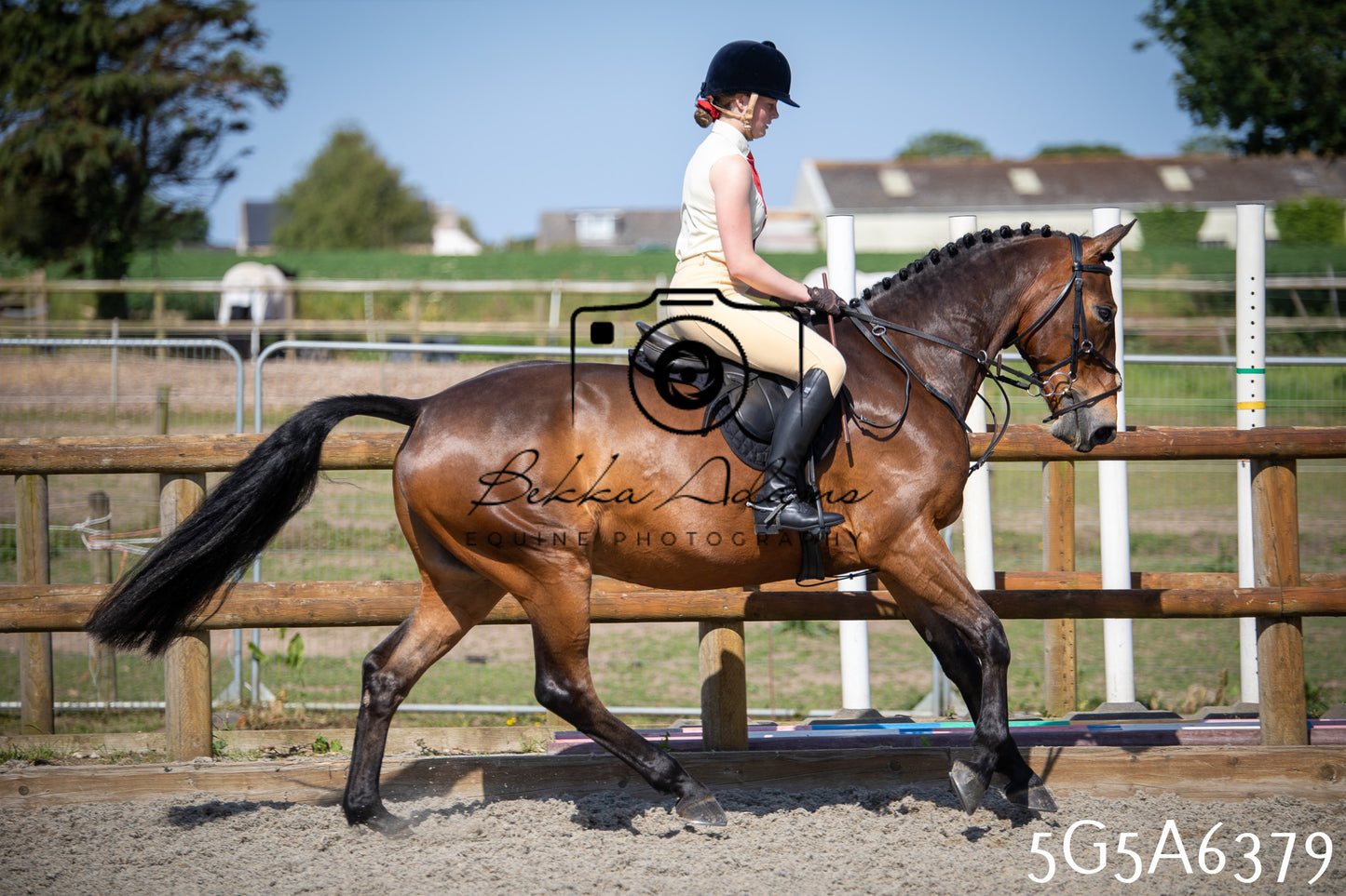 Home Farm Working Hunter 24th May 2026