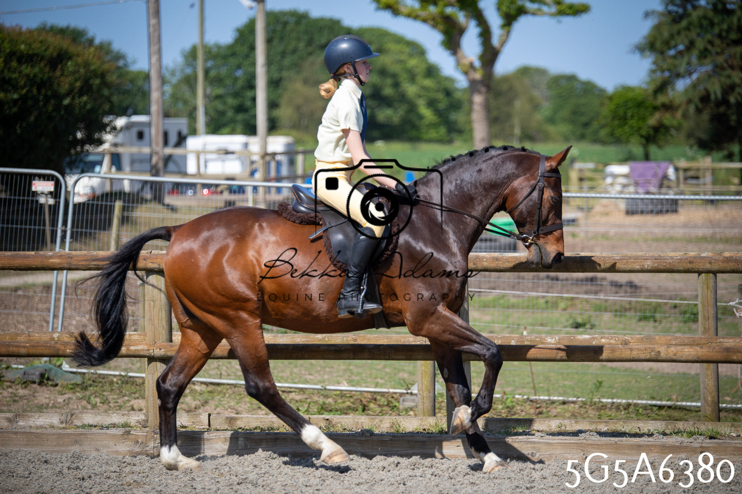 Home Farm Working Hunter 24th May 2026