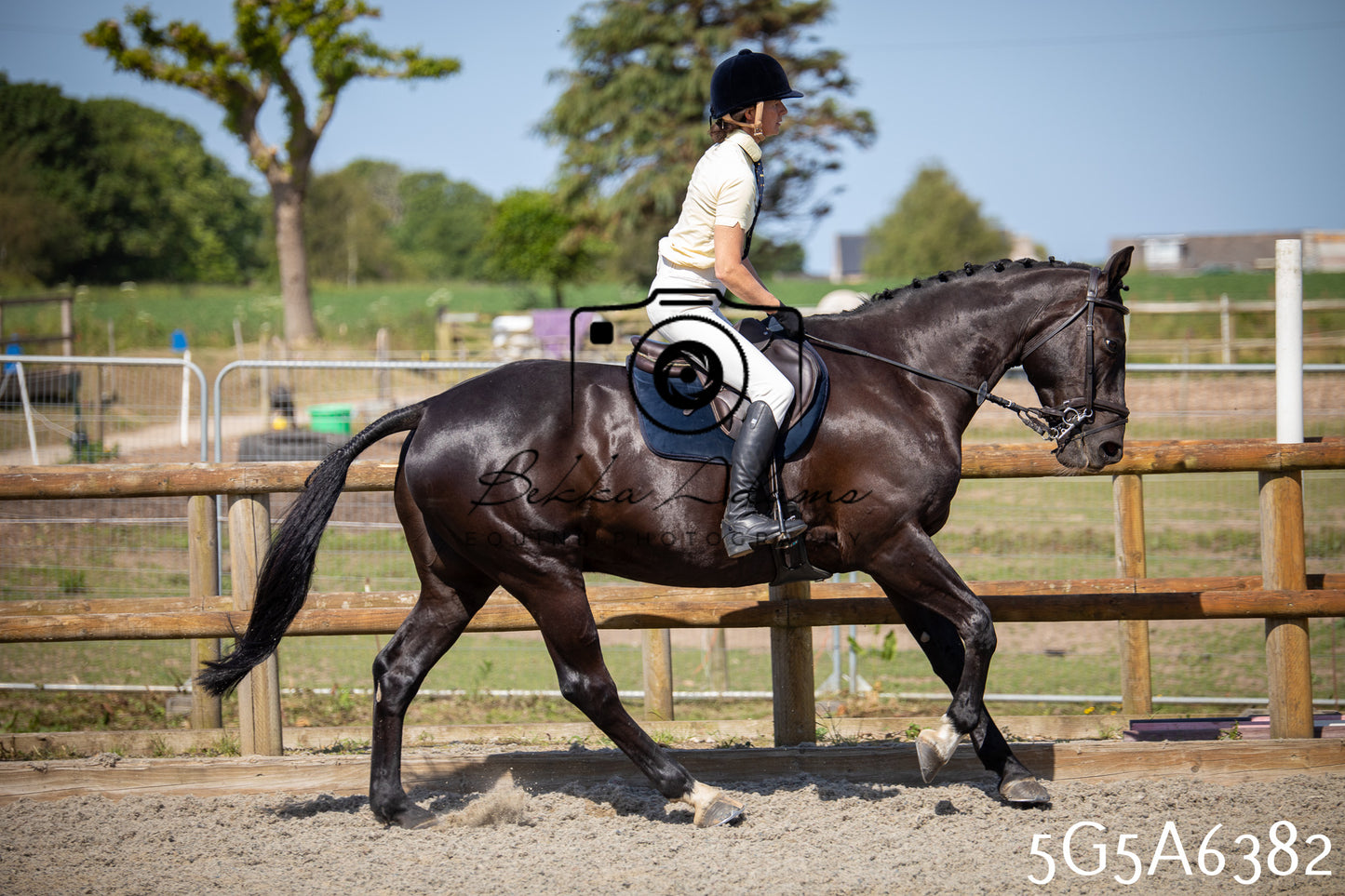 Home Farm Working Hunter 24th May 2026