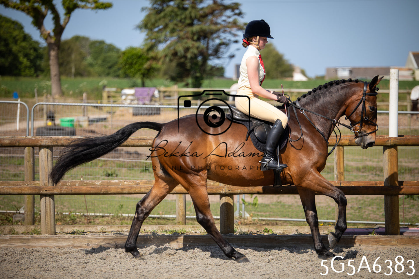 Home Farm Working Hunter 24th May 2026