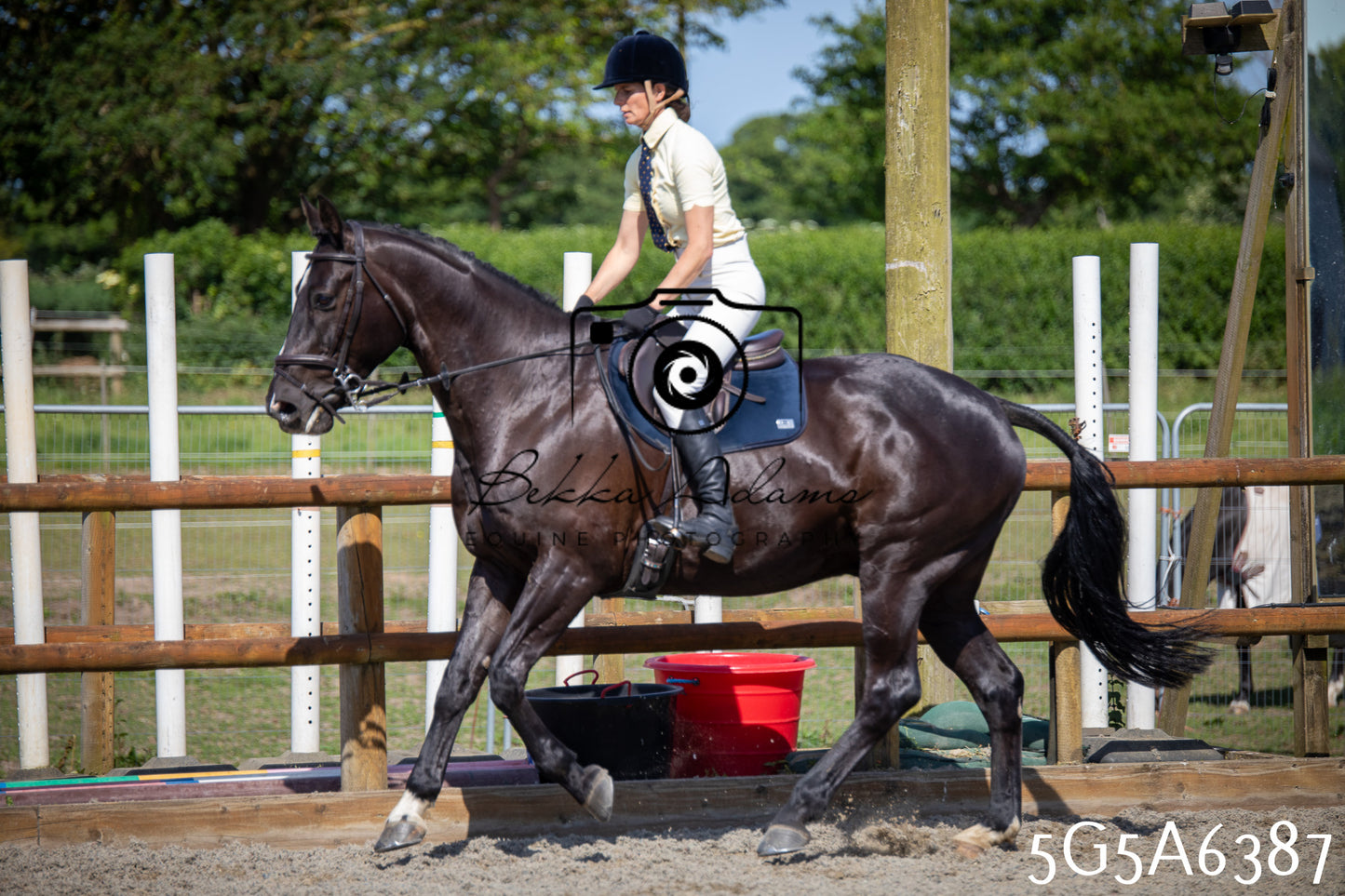 Home Farm Working Hunter 24th May 2026