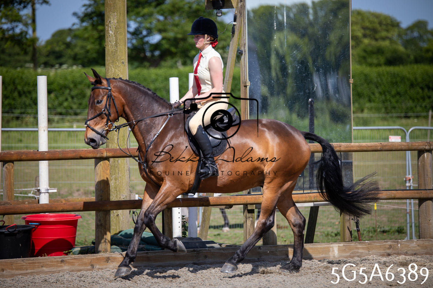 Home Farm Working Hunter 24th May 2026