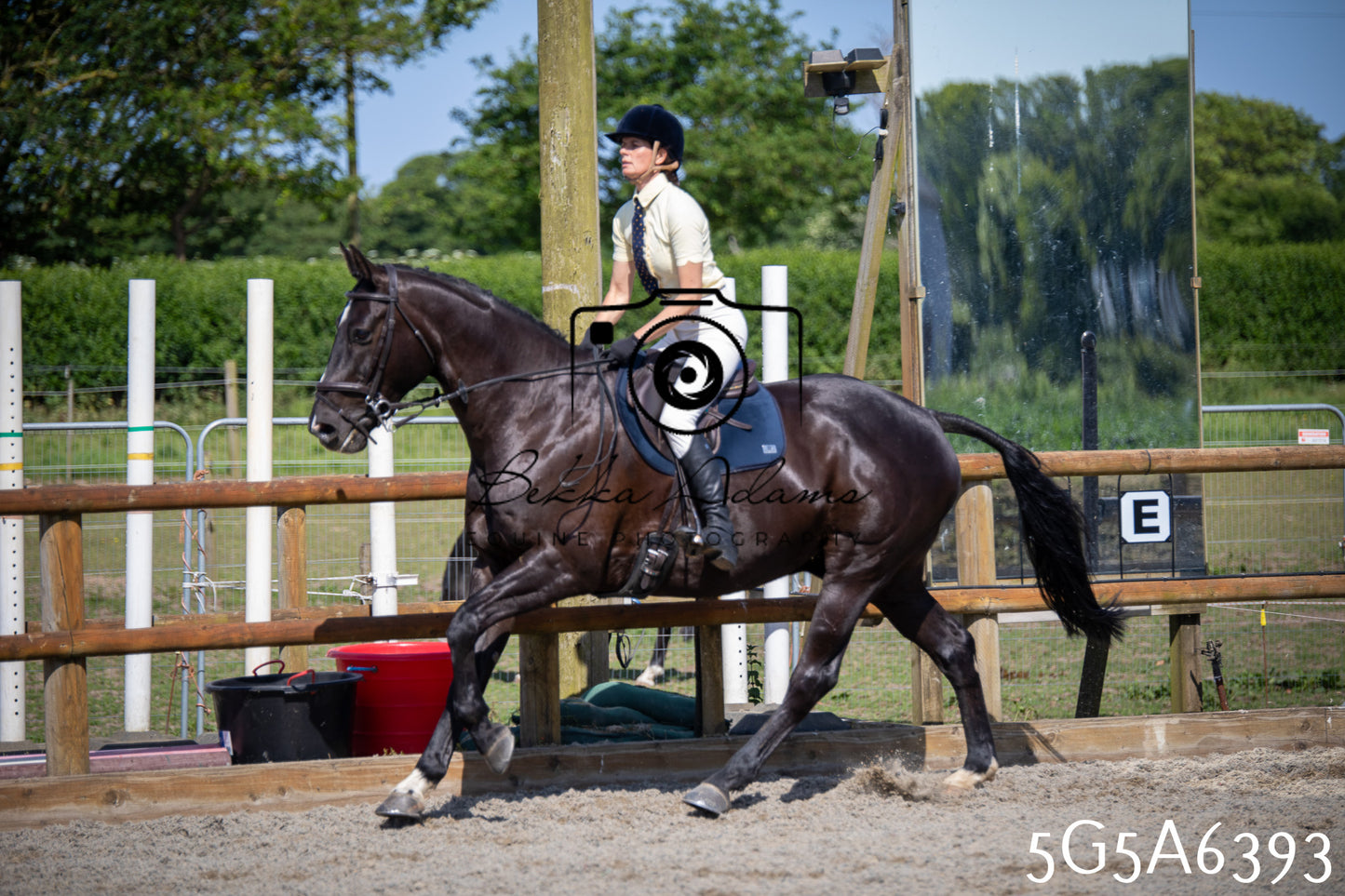 Home Farm Working Hunter 24th May 2026