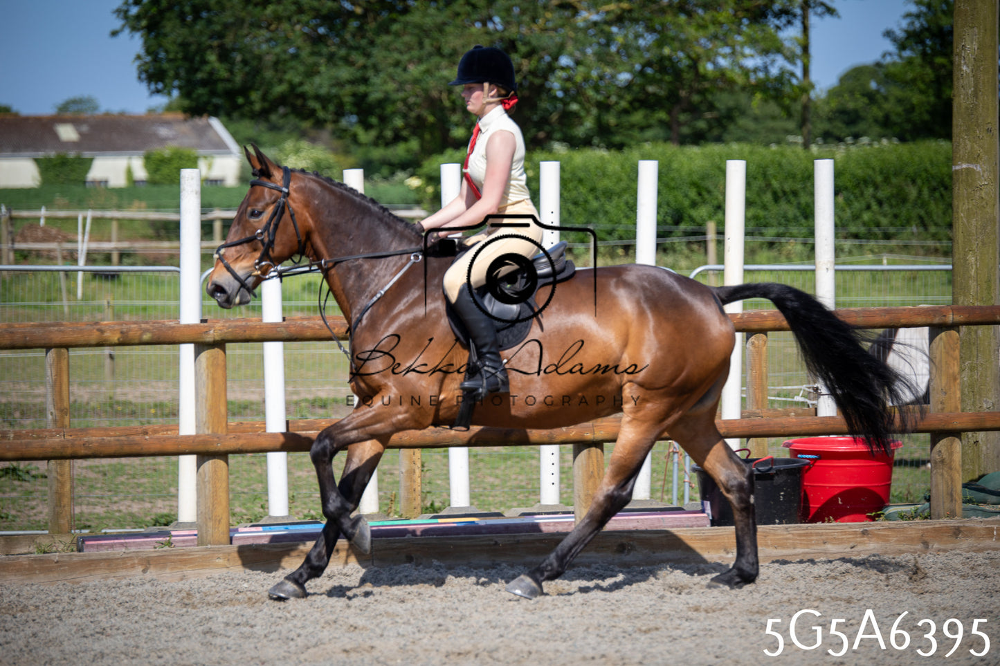 Home Farm Working Hunter 24th May 2026