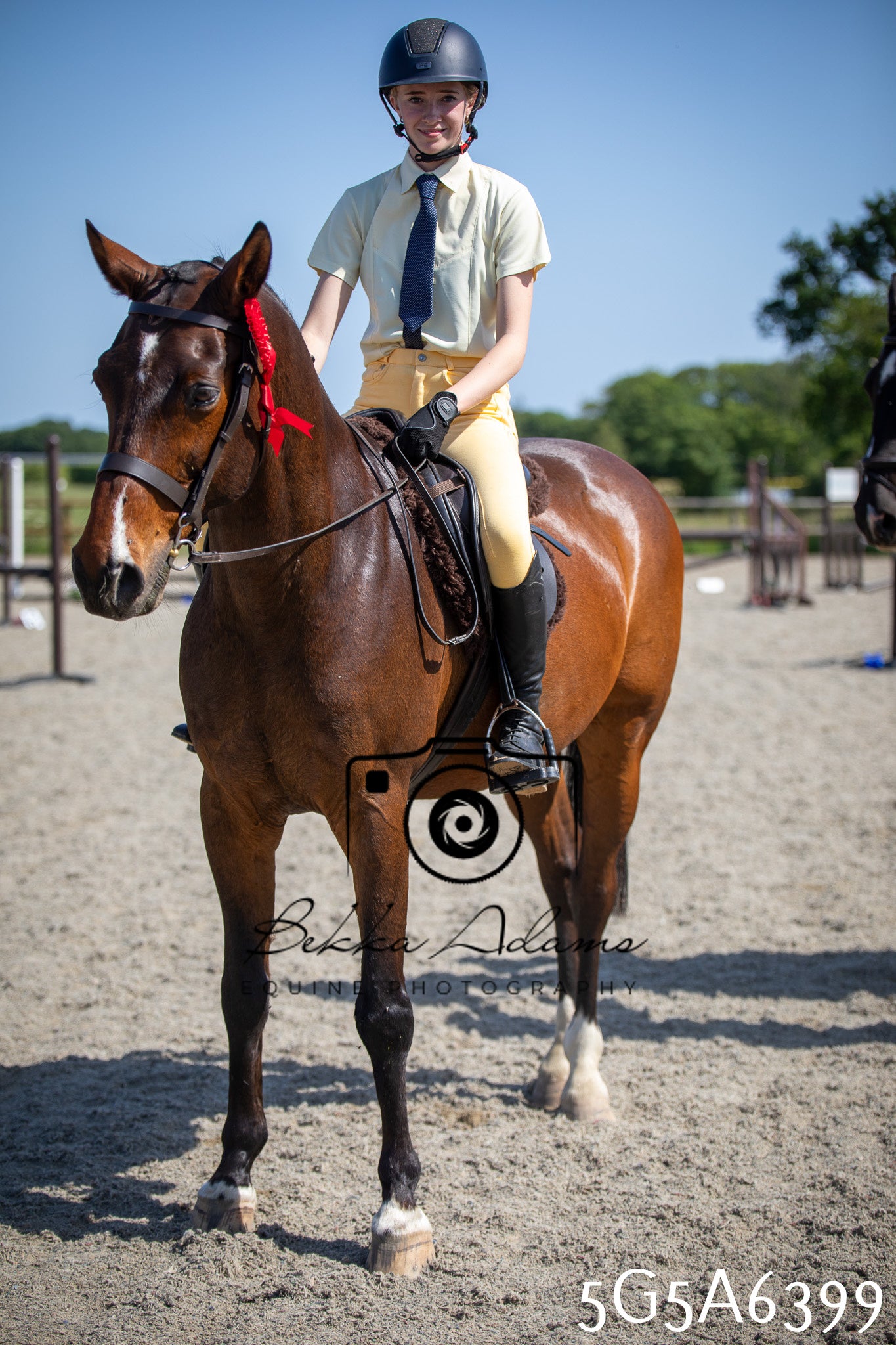 Home Farm Working Hunter 24th May 2026