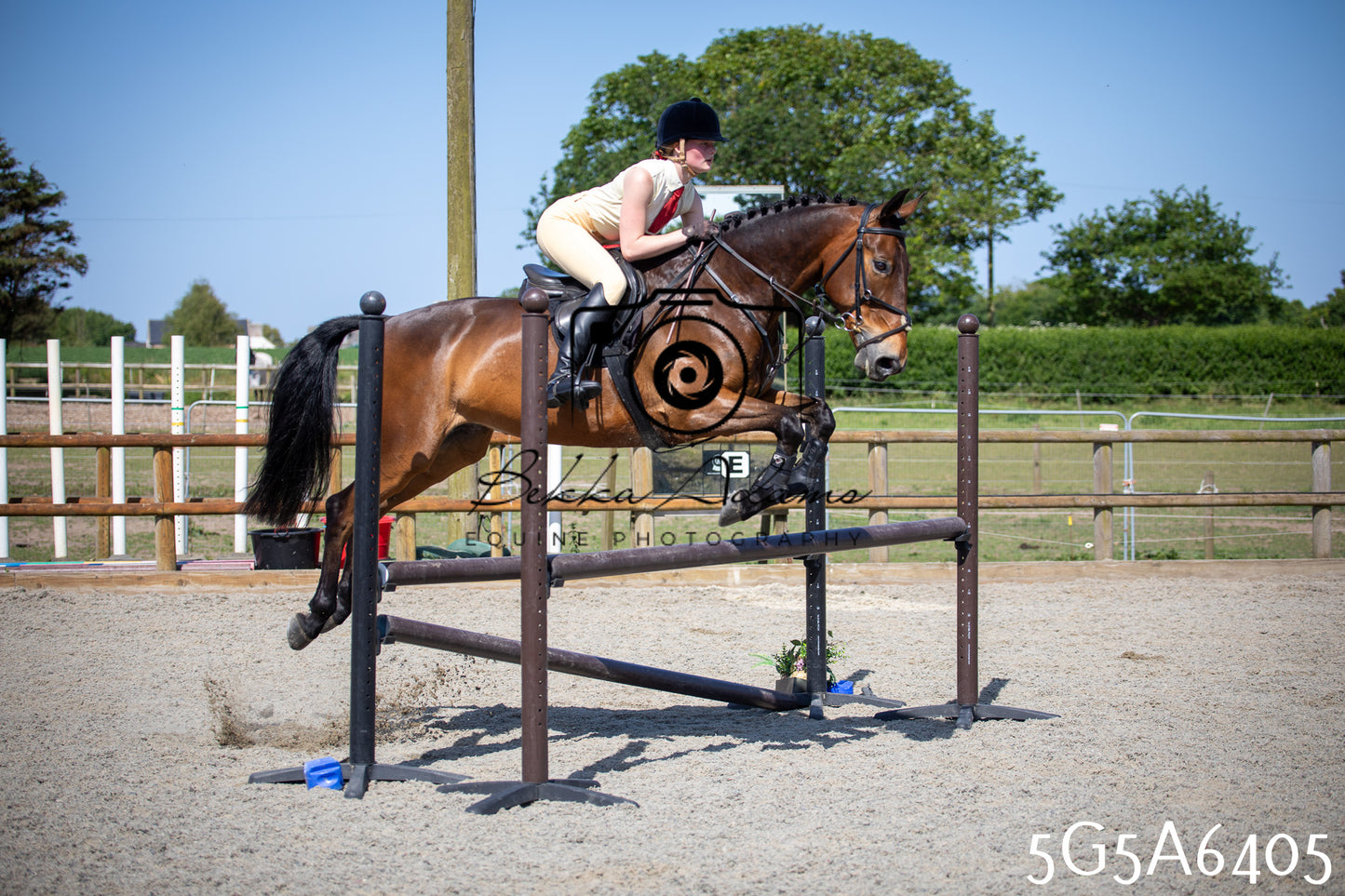Home Farm Working Hunter 24th May 2026