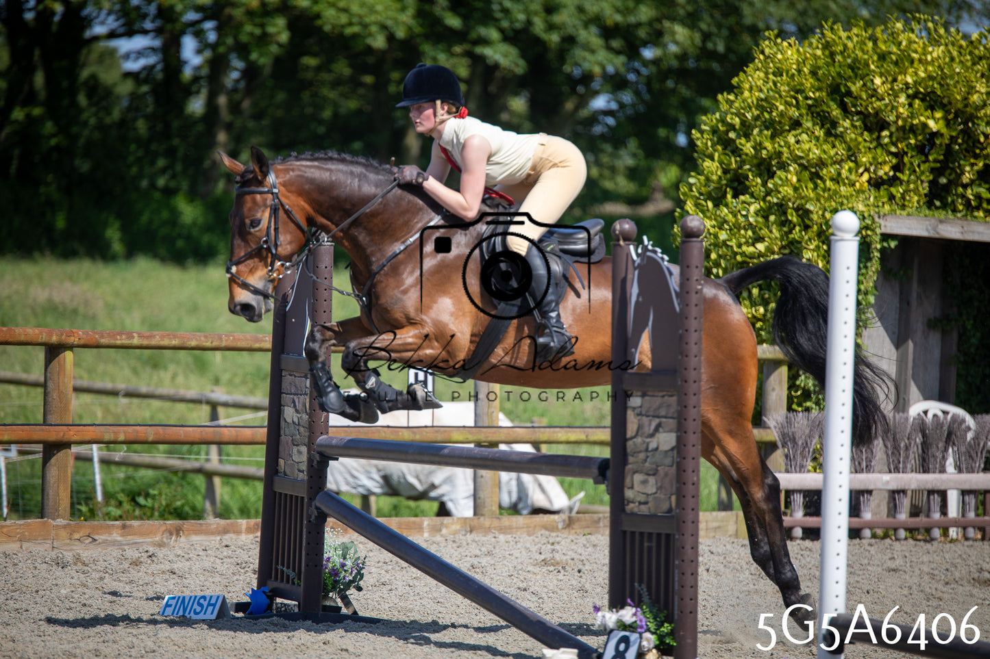 Home Farm Working Hunter 24th May 2026