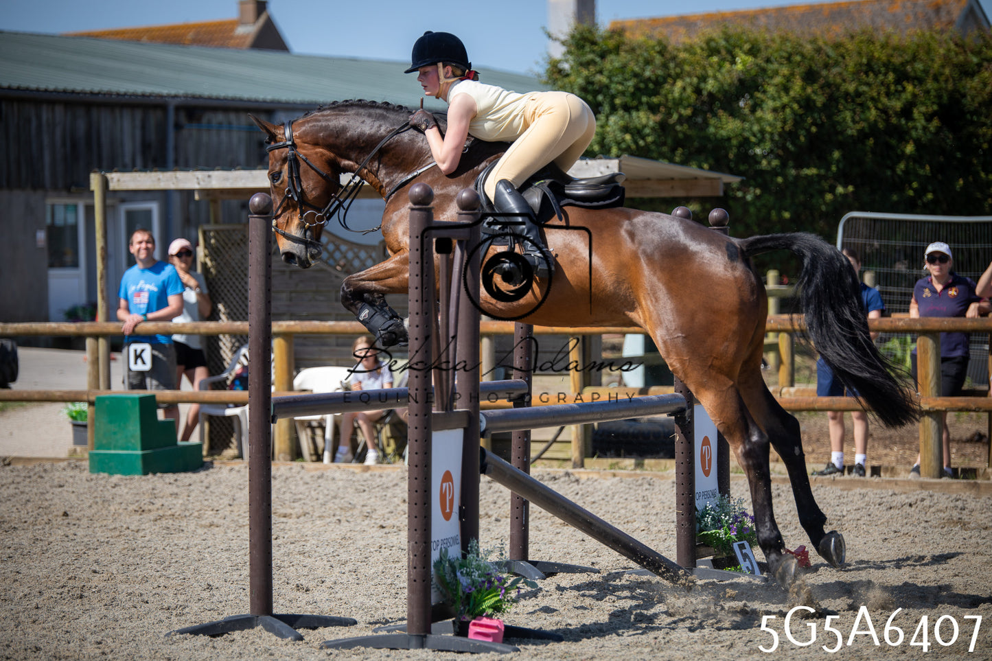 Home Farm Working Hunter 24th May 2026