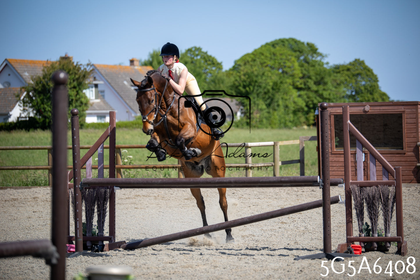 Home Farm Working Hunter 24th May 2026