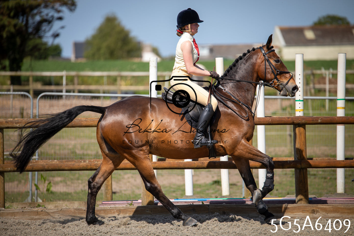 Home Farm Working Hunter 24th May 2026