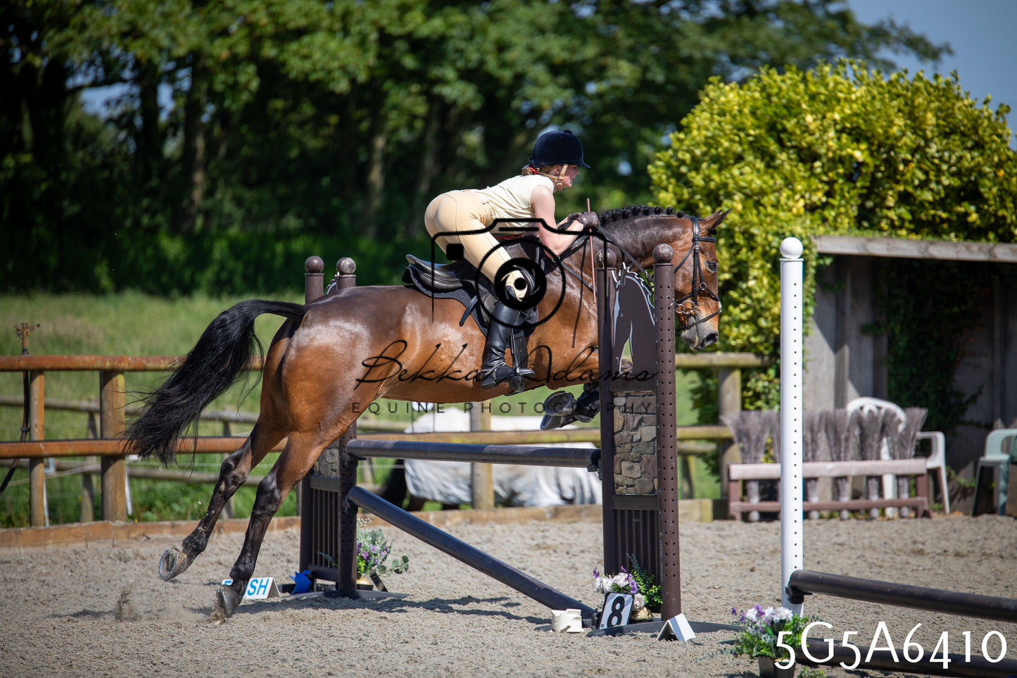 Home Farm Working Hunter 24th May 2026