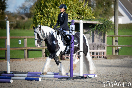 Funshine Show Jumping 2026 - Seniors