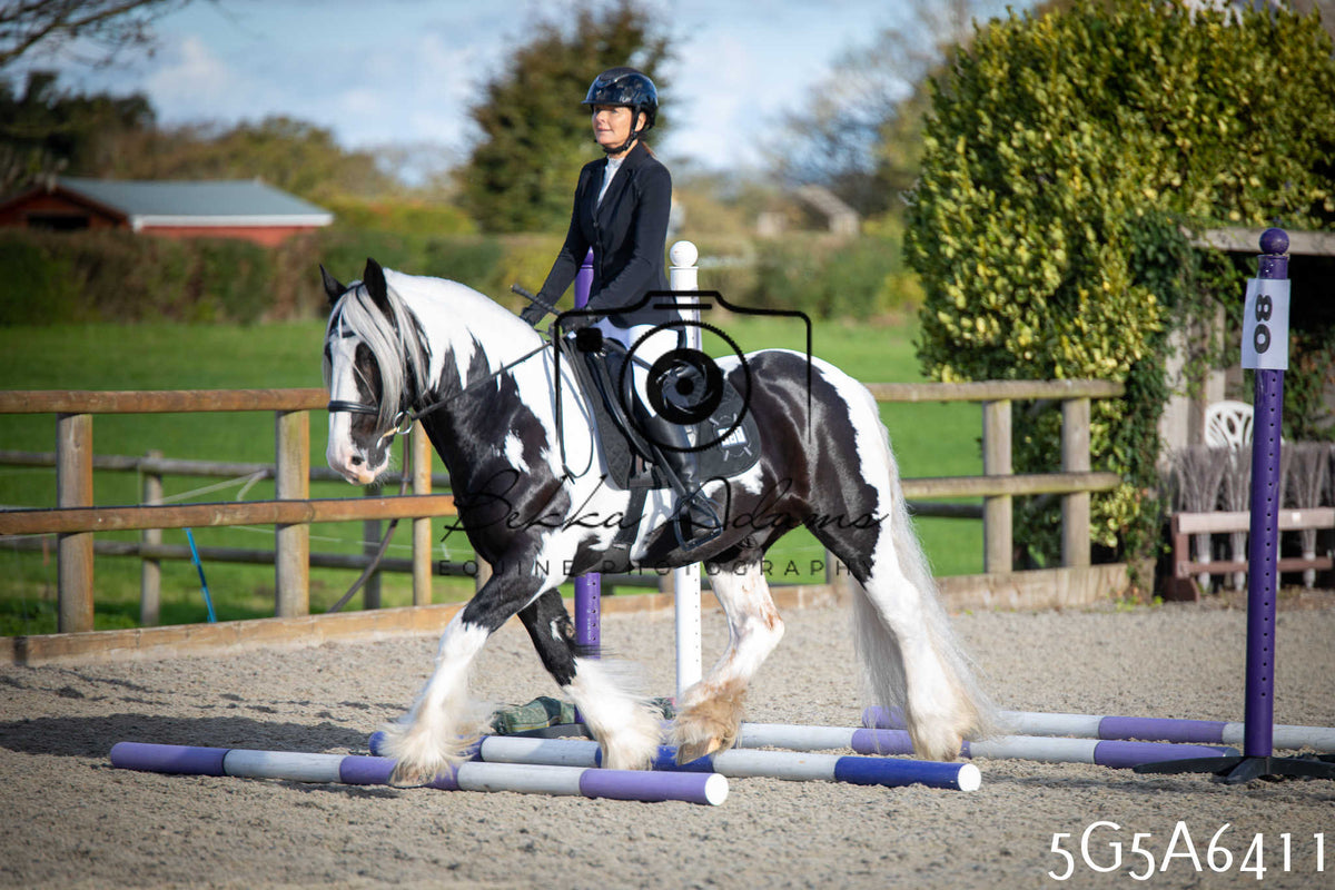 Funshine Show Jumping 2026 - Seniors