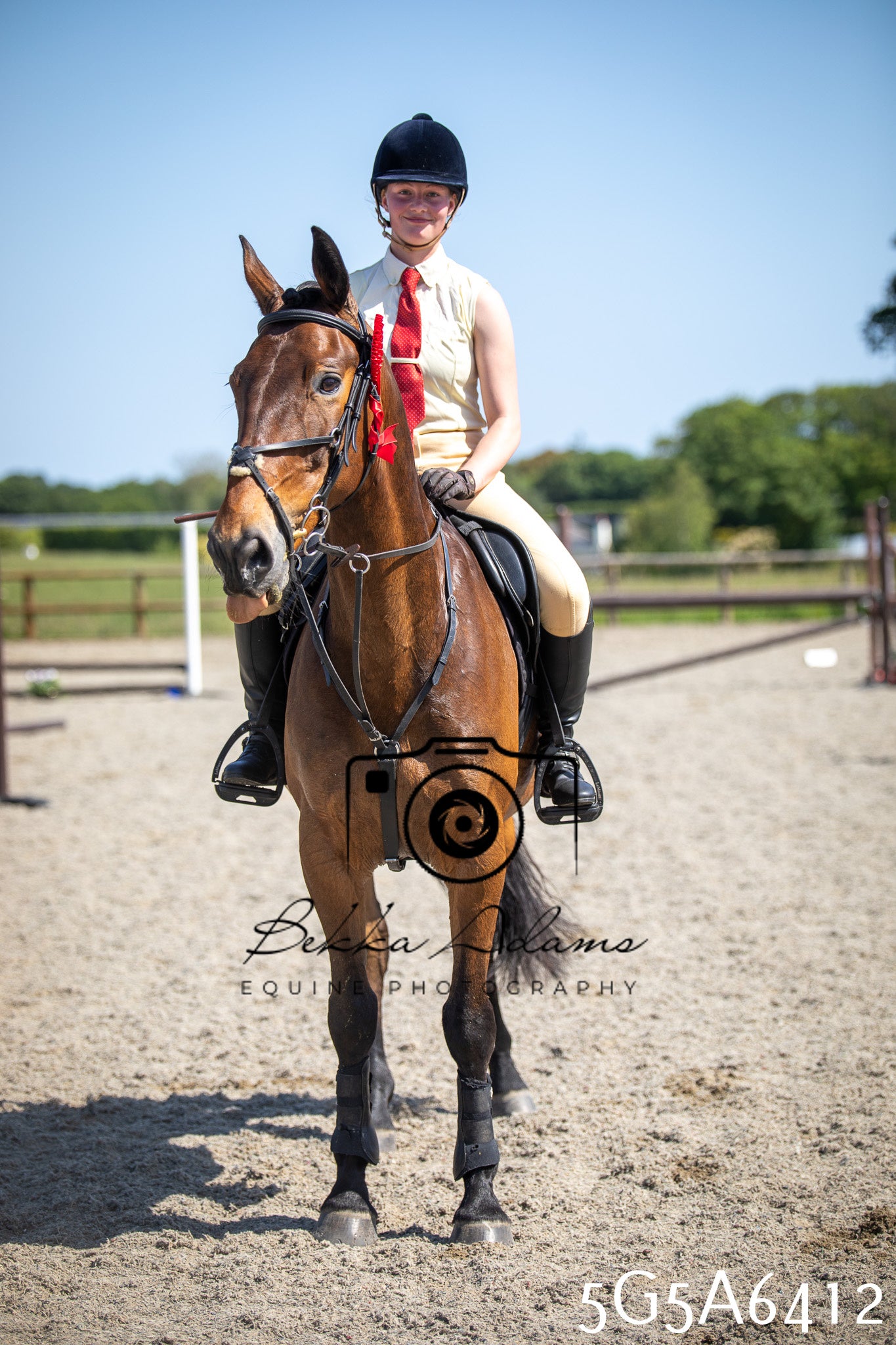 Home Farm Working Hunter 24th May 2026