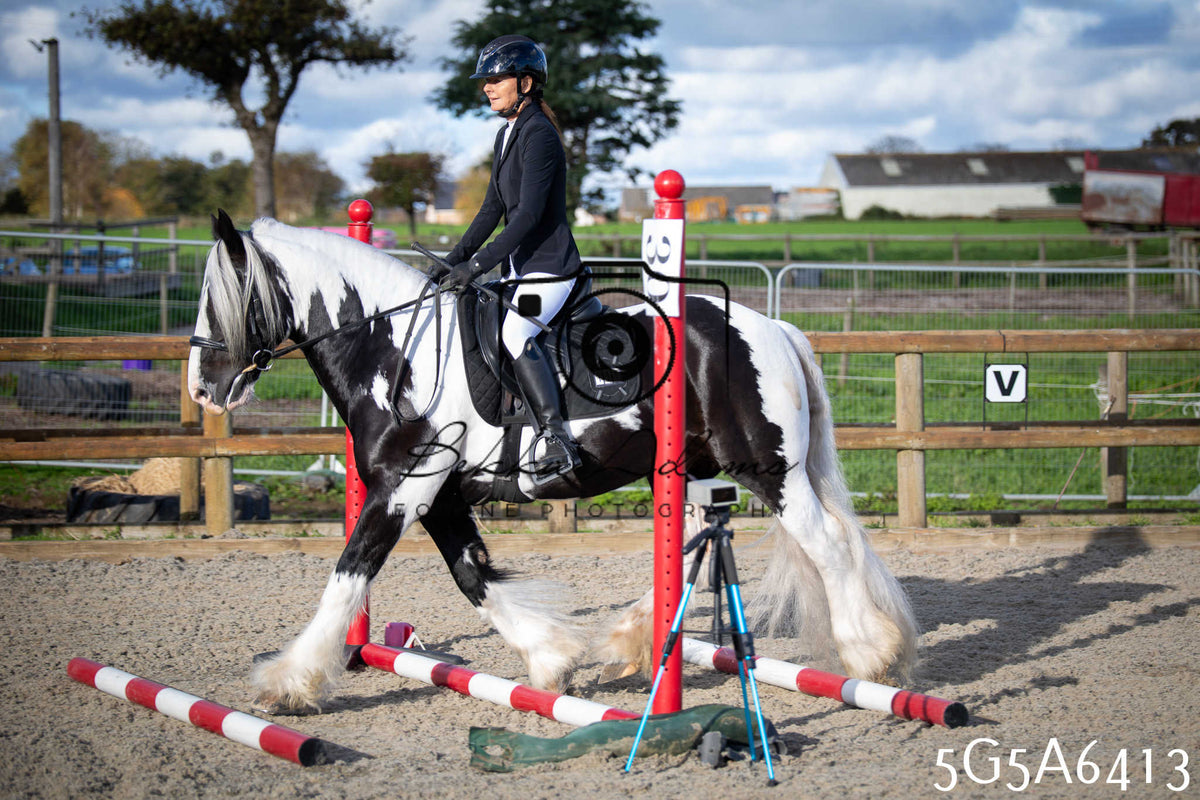 Funshine Show Jumping 2026 - Seniors