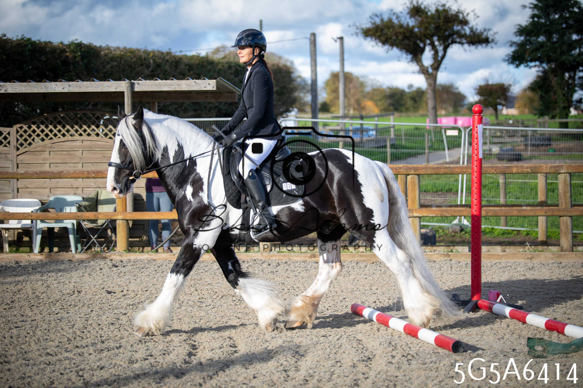 Funshine Show Jumping 2026 - Seniors