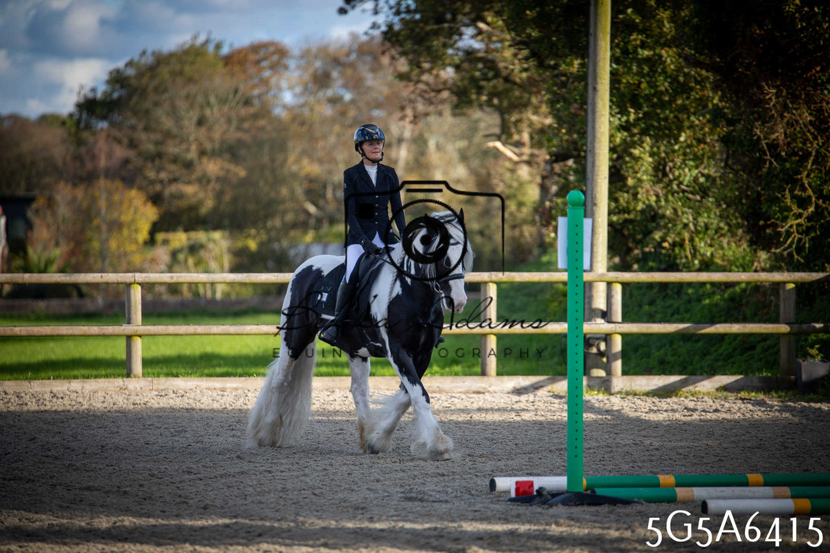 Funshine Show Jumping 2026 - Seniors