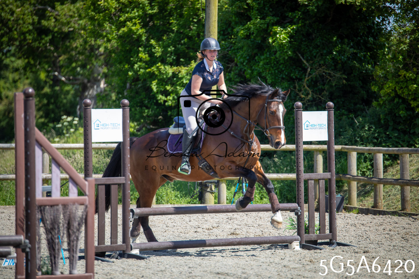 Home Farm Show Jumping 24th May 2026