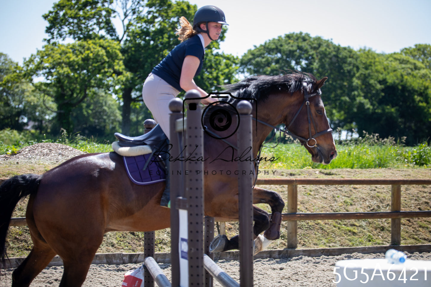 Home Farm Show Jumping 24th May 2026