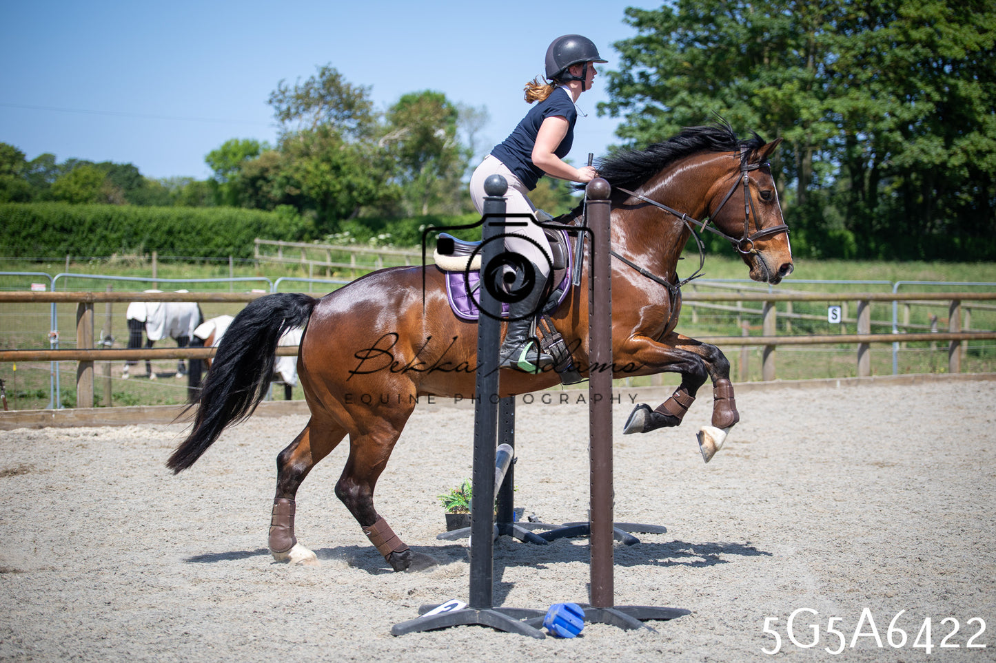 Home Farm Show Jumping 24th May 2026