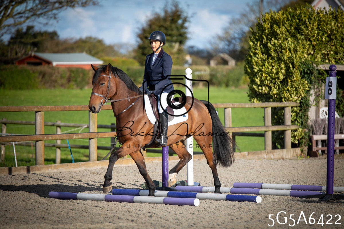 Funshine Show Jumping 2026 - Seniors