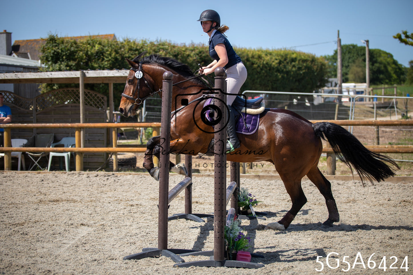 Home Farm Show Jumping 24th May 2026
