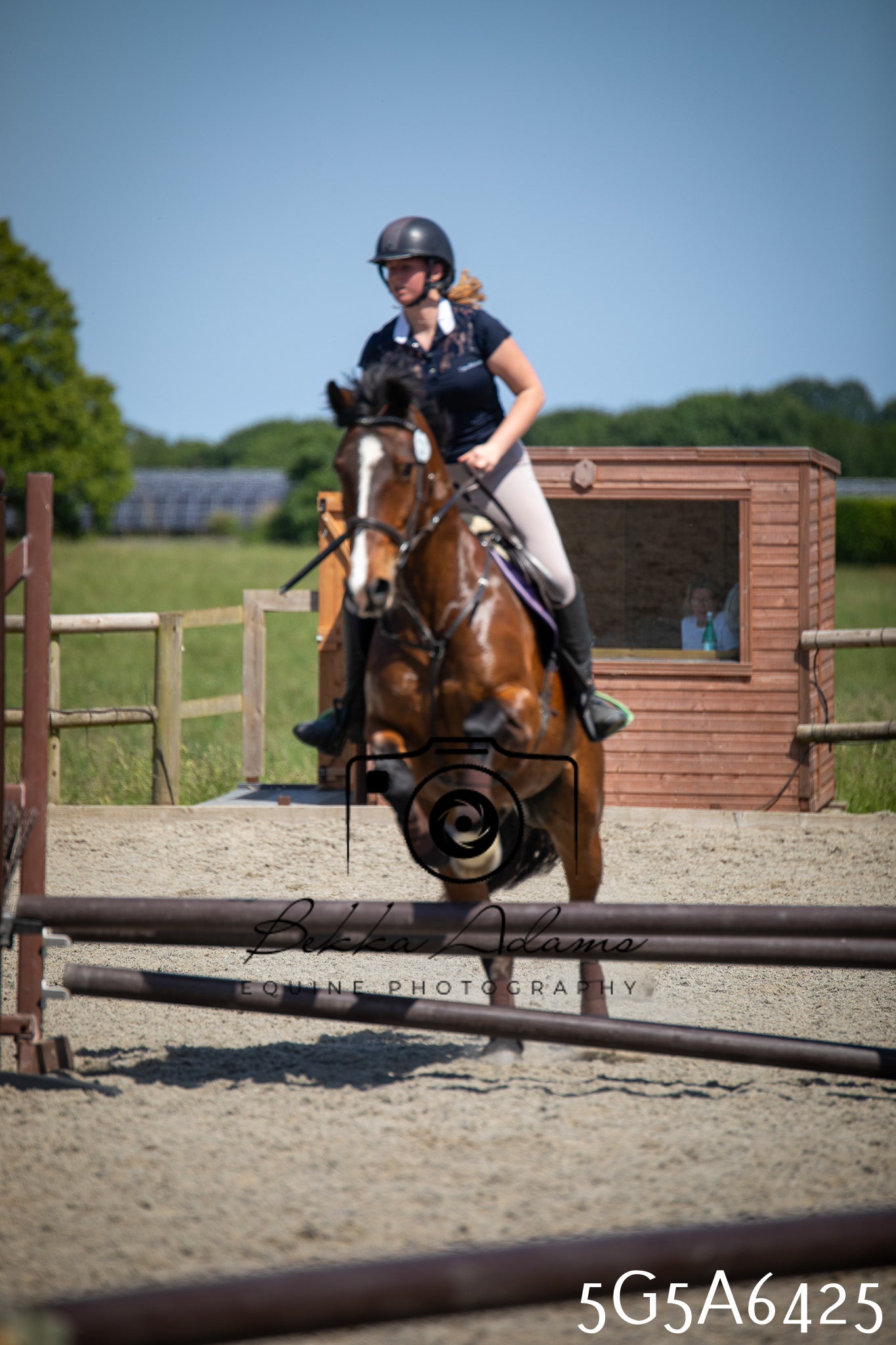 Home Farm Show Jumping 24th May 2026