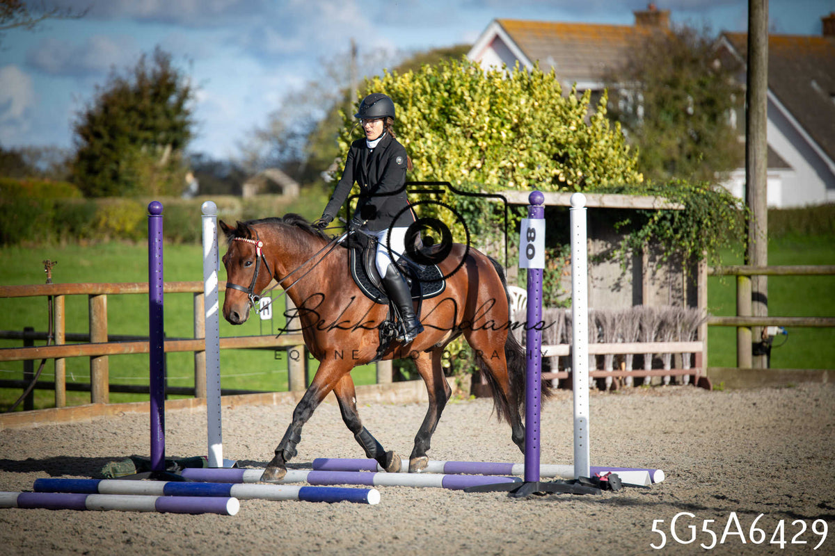 Funshine Show Jumping 2026 - Seniors