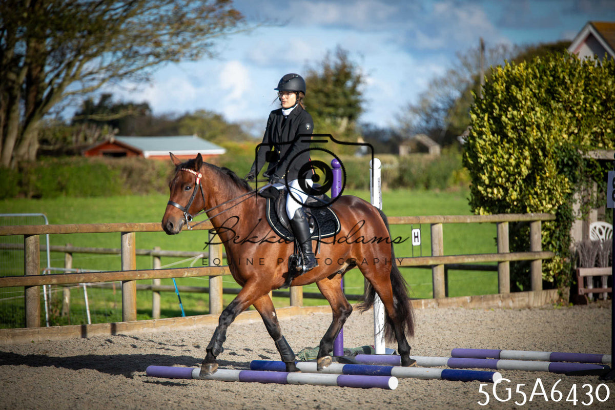 Funshine Show Jumping 2026 - Seniors